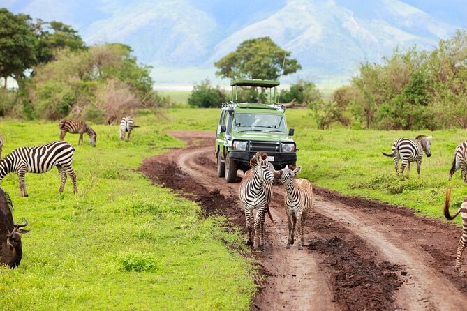 2 Days Camping Group Joining Tarangire Ngorongoro Crater Safari - The 5 am start and the road to Tarangire