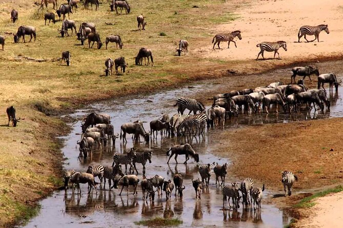 2 Days Camping Group Joining Tarangire Ngorongoro Crater Safari - Ngorongoro Crater from the rim to the floor