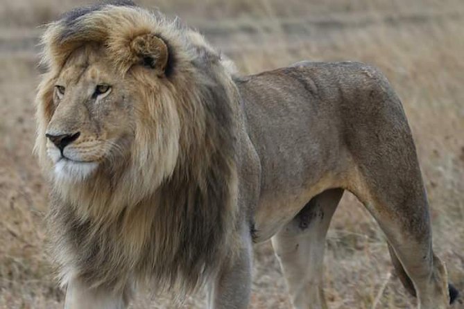 2 Days Camping Safari, Lake Manyara & Ngorongoro Crater - Why this two-day route works from Arusha