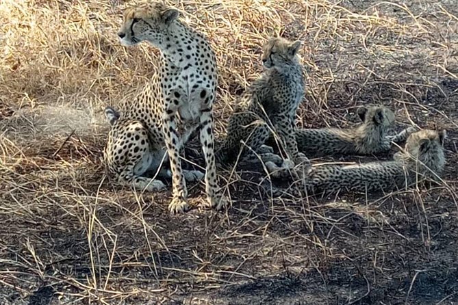 2 Days Camping Safari, Lake Manyara & Ngorongoro Crater - What $455 per person really buys