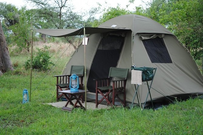 2 Days Camping Safari, Lake Manyara & Ngorongoro Crater - Lake Manyara’s baboons, birds, and tree-climbing lions