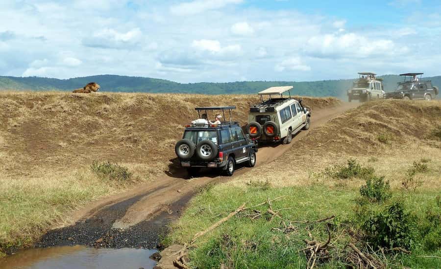 2 Days Cheap mikumi NP safari & waterfall from Dar es salaam - Afternoon wildlife drive in Mikumi National Park