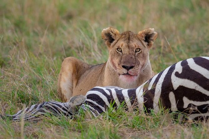 2 Days Joined Group Tarangire and Ngorongoro Crater National Park - The social side of a six-person group