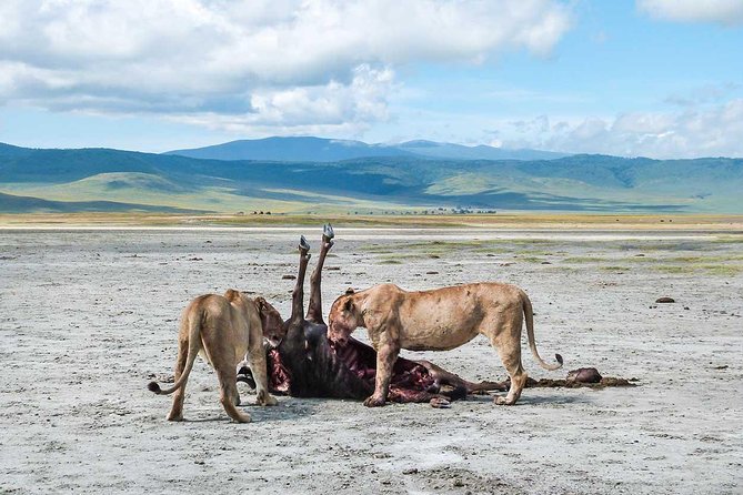 2 Days Joined Group Tarangire and Ngorongoro Crater National Park - Who should book this safari?