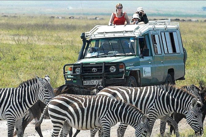 2 Days Joined Group Tarangire and Ngorongoro Crater National Park - Day two: Ngorongoro Crater in six focused hours
