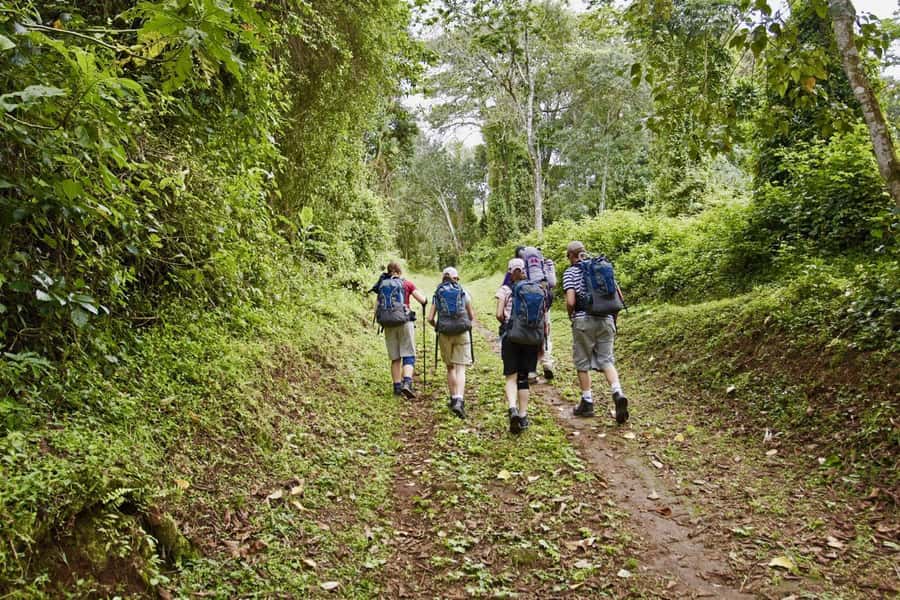 2-Days Kilimanjaro Hikes and Materuni Waterfalls Tour - Key points to know before booking
