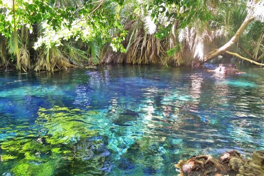 2-Days Kilimanjaro Hikes and Materuni Waterfalls Tour - FAQ