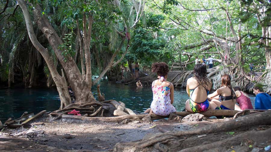 2-Days Kilimanjaro Hikes and Materuni Waterfalls Tour - Day 1: Marangu Gate and the Kilimanjaro rainforest