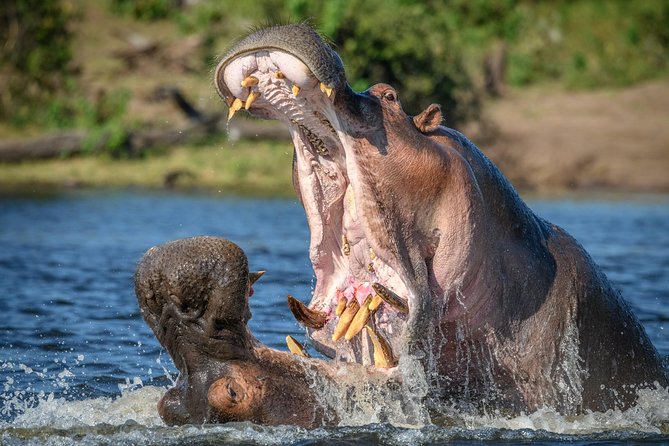 2 Days Lodge Safari - Lake Manyara and Ngorongoro Crater - Why this two-day route works after Kilimanjaro