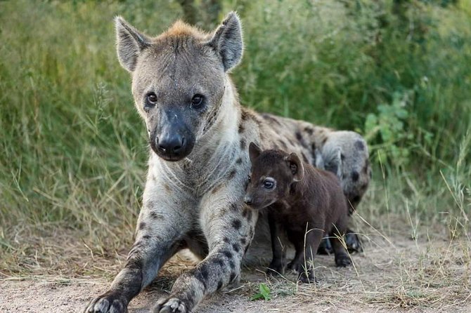 2 Days Lodge Safari – Tarangire & Ngorongoro Crater - Key points at a glance