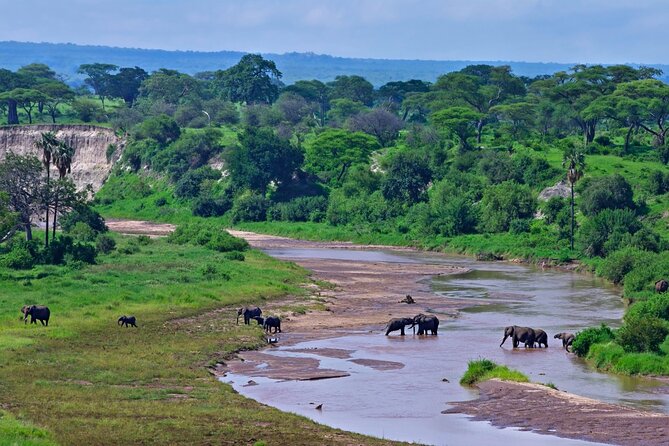 2 days Majestic Tanzania safari Tarangire and Ngorongoro Crater - Day one: Arusha, Moshi, and the road to Tarangire