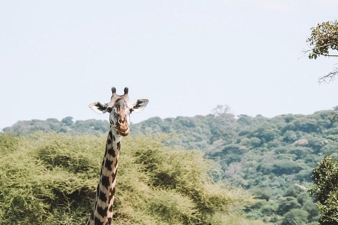 2 days Mid Range Safari in Ngorongoro and Tarangire Big 5 Parks - Why this two-day route works