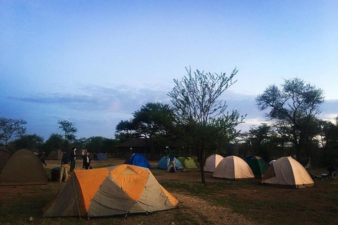 2 days Mid Range Safari in Ngorongoro and Tarangire Big 5 Parks - Ngorongoro Crater and the early wildlife rush