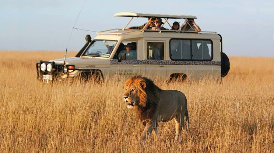 2 Days mikumi safari adventure from dar es salaam - Leaving Dar es Salaam Before Sunrise