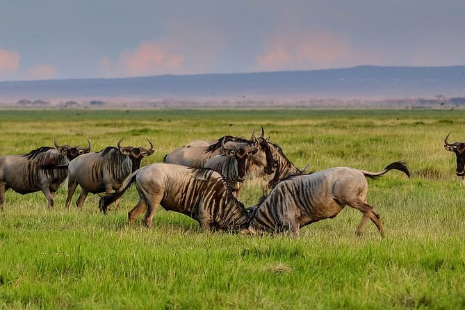 2 Days Northern Circuit Safari (lake Manyara & Ngorongoro) - Lake Manyara below the Rift Valley escarpment