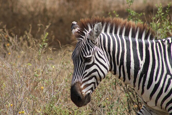 2 days private lodge safari - The Mto wa Mbu overnight stop