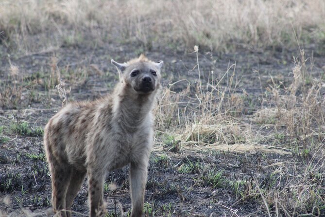 2 days private lodge safari - What the $1,600 price really covers