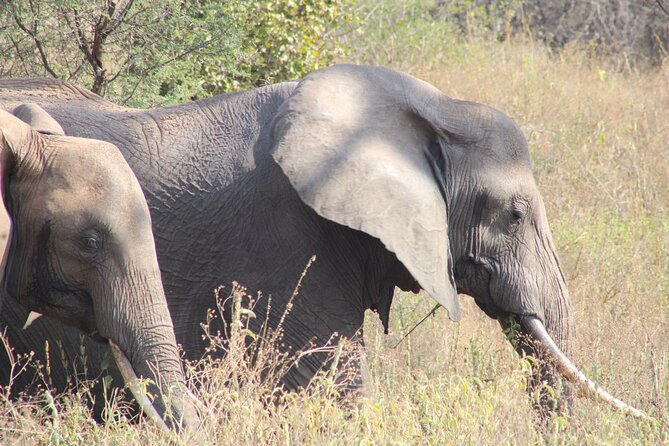 2 days private lodge safari - Descending into Ngorongoro Crater