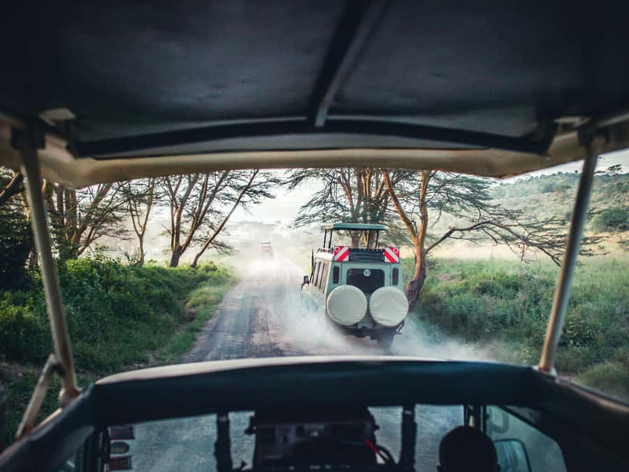 2-Days Private Luxury Safari from and back to Zanzibar - What the private vehicle and guide mean for you
