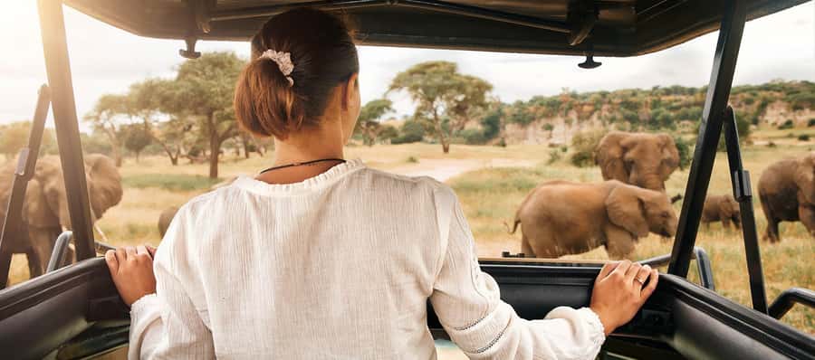 2-Days Private Luxury Safari from and back to Zanzibar - Timing, weather, and what to pack
