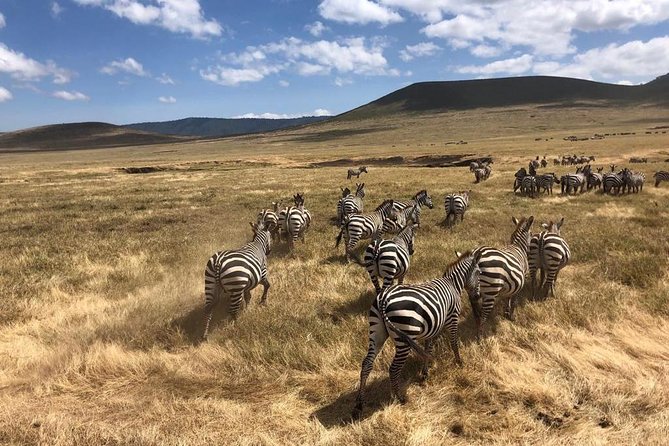 2-Days Private Midrange Safari; Tarangire & Ngorongoro Crater - A picnic beside the hippo pool