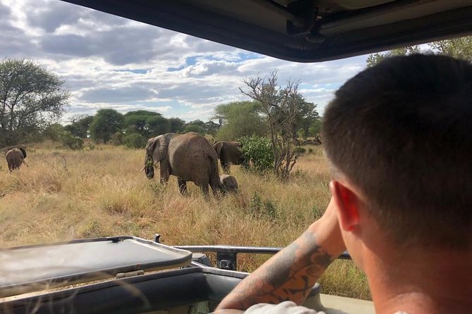 2-Days Private Midrange Safari; Tarangire & Ngorongoro Crater - What the strongest praise tells you