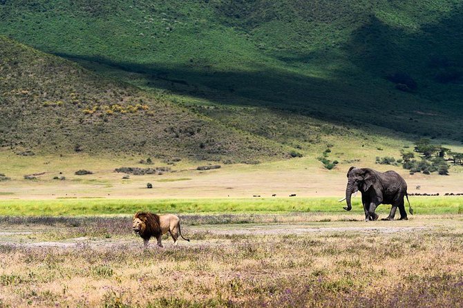 2 days quick trip to Mikumi National park - The early start from Dar es Salaam