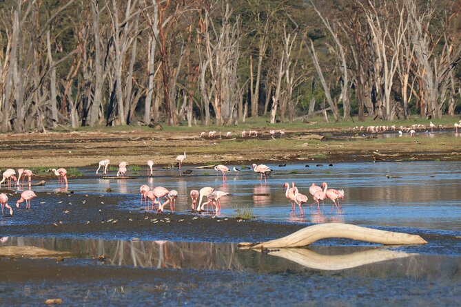 2 Days Safari to Tarangire & Lake Manyara - Key points at a glance