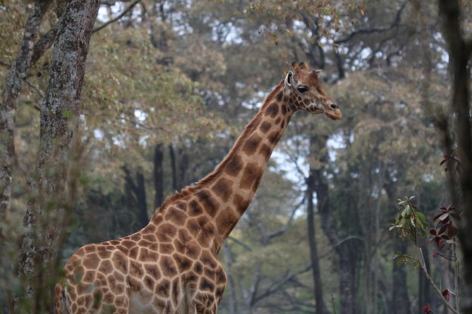 2 Days Safari to Tarangire & Lake Manyara - Why this two-day pairing works