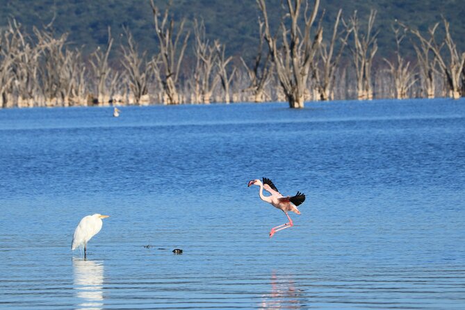 2 Days Safari to Tarangire & Lake Manyara - The overnight question you should settle early