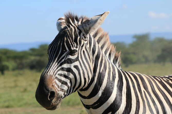 2 Days Safari to Tarangire & Lake Manyara - What the $1,000 price covers