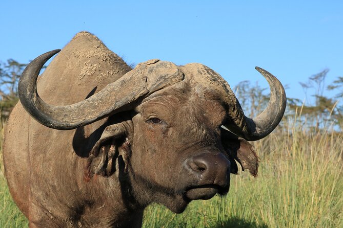 2 Days Safari to Tarangire & Lake Manyara - Who should choose this safari