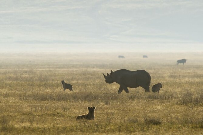 2 Days Safari Tour in Tarangire and Ngorongoro Crater - Entering the Ngorongoro Crater at First Light