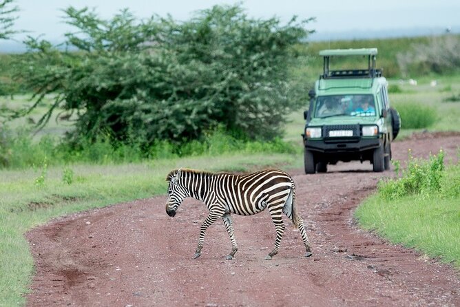 2-Days Safari Tour in Tarangire & Ngorongoro Crater - Why this two-day route works from Arusha