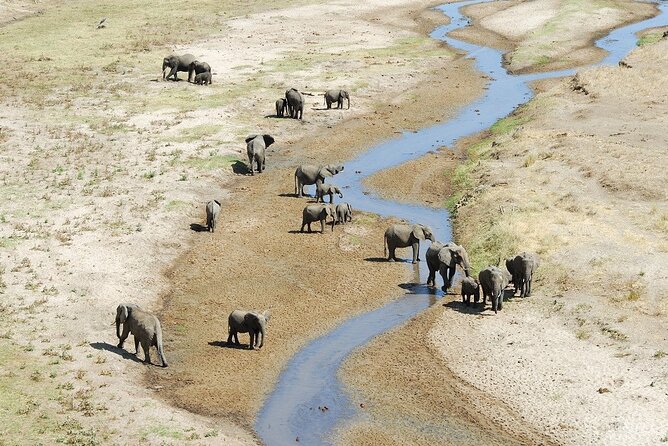 2-Days Safari Tour in Tarangire & Ngorongoro Crater - Day one: six hours among Tarangire’s elephants