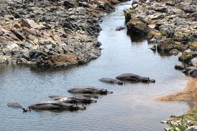 2 Days Selous Game Reserve Safari from Zanzibar or Dar es salaam - What the $840 price really buys
