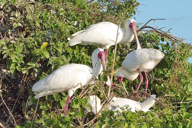 2 Days Selous Game Reserve Safari from Zanzibar or Dar es salaam - Who will enjoy this safari most
