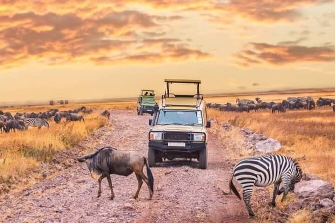 2- Days Tanzania Private (Budget) Safari - Why this short route works
