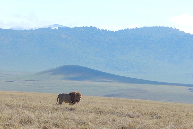 2 Days Tarangire and Ngorongoro Crater Tour - What the $515 price includes, and what it does not