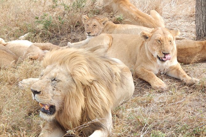 2 Days Tarangire and Ngorongoro Crater Tour - Leaving Arusha at 5:30 a.m.