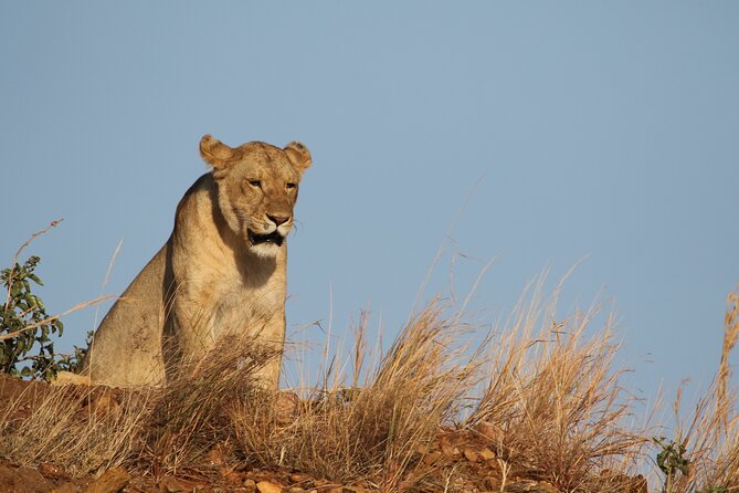 2 Days Tarangire and Ngorongoro Group Camping Safari - Who Will Like This Safari Most?