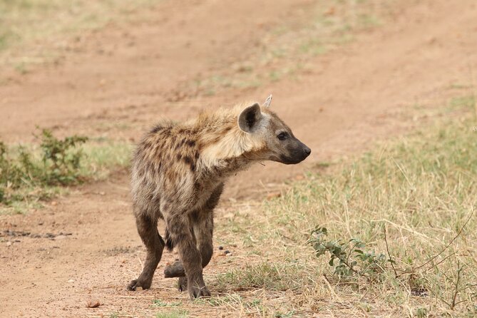 2 Days Tarangire and Ngorongoro Group Camping Safari - The Overnight Stop Near Ngorongoro