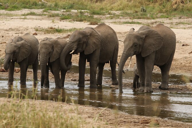 2 Days Tarangire and Ngorongoro Mid-Range Group Safari - Lake Magadi and the crater’s wildlife pattern