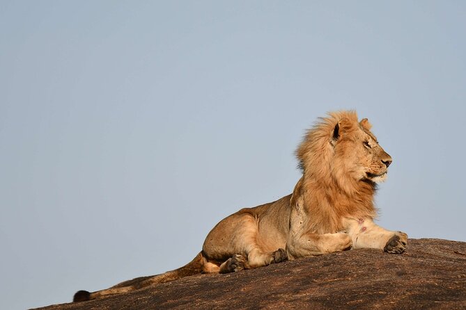 2 Days Tarangire and Ngorongoro Safari from Zanzibar - The vehicle, camping, and overnight arrangements