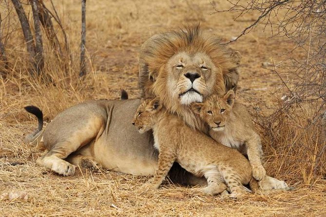 2 Days Tarangire and Ngorongoro Safari from Zanzibar - Does the $2,167 price offer good value?