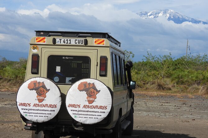 2 Days Tarangire and Ngorongoro Safari from Zanzibar - Who will enjoy this safari most?