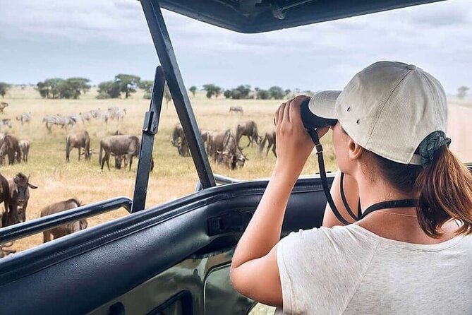 2 Days Tarangire and Ngorongoro Safari from Zanzibar - Ngorongoro Crater: the concentrated wildlife day