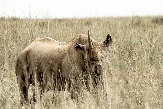 2 Days Tarangire and Ngorongoro Safari Tour in Tanzania - What the small group size means