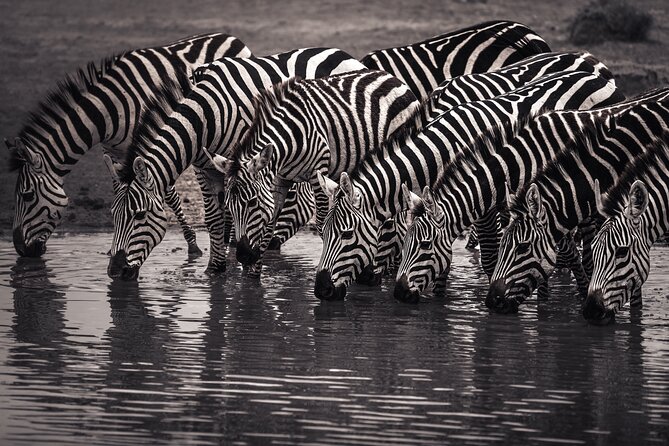 2 Days Tarangire and Ngorongoro Safari Tour in Tanzania - Arusha or Moshi pickup
