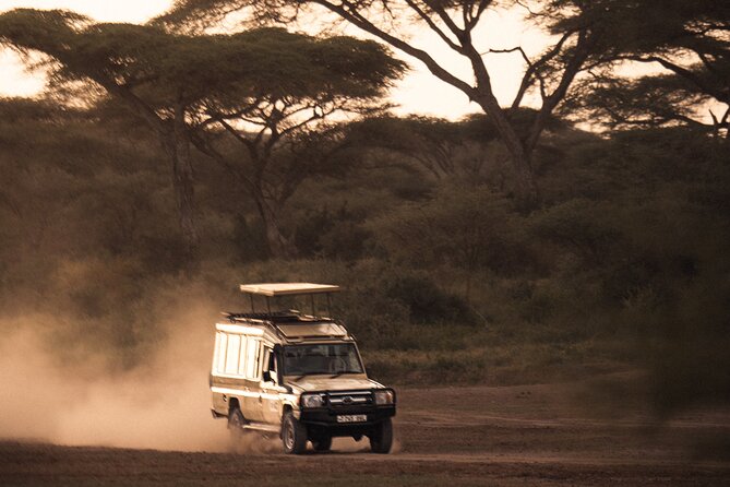 2 Days Tarangire and Ngorongoro Safari Tour in Tanzania - Day two: an early start for Ngorongoro Crater